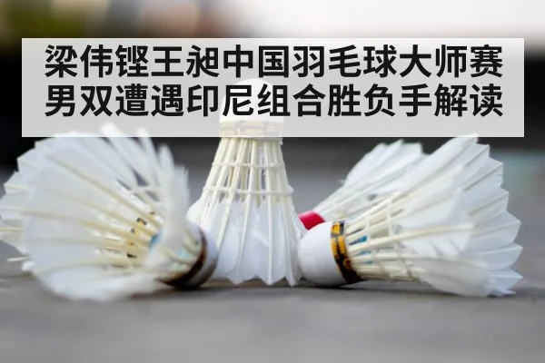 badminton shuttlecock court